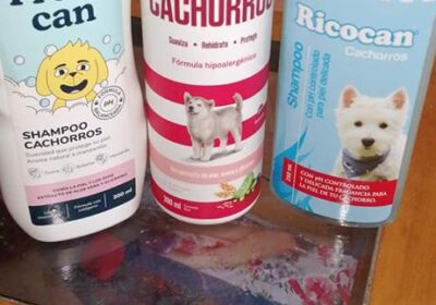 Alimento y Productos para Perros
