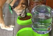 Dispensadores automáticos de agua y comida para mascotas