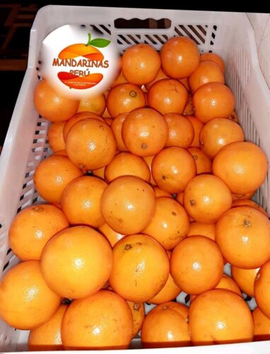 Naranjas de mesa y Mandarina sin pepa