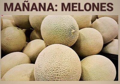 venta-melones-piura