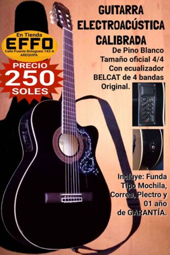 Guitarras-en-TIENDA-EFFO-GARANTIZADO-2