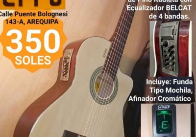 Guitarras-en-TIENDA-EFFO-GARANTIZADO-4