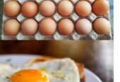 Huevos de gallinas de corral 100% orgánicos