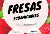 Fresas-Eco-amigables-y-Pulpas-de-Frutas-Amazonicas-2