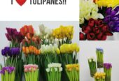Tulipanes-artificiales-1
